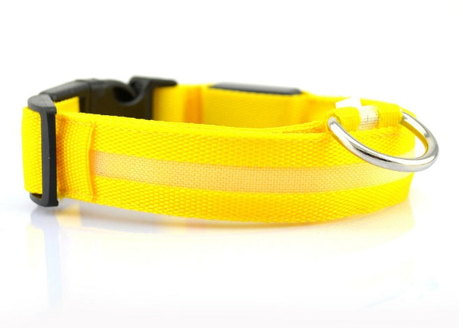 Rechargeable LED Dog Collar for Pet Night Safety