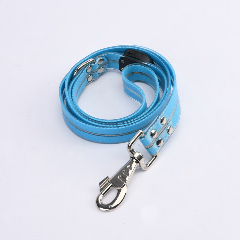 Glow-Up LED Pet Leash – Safe Night Walks!