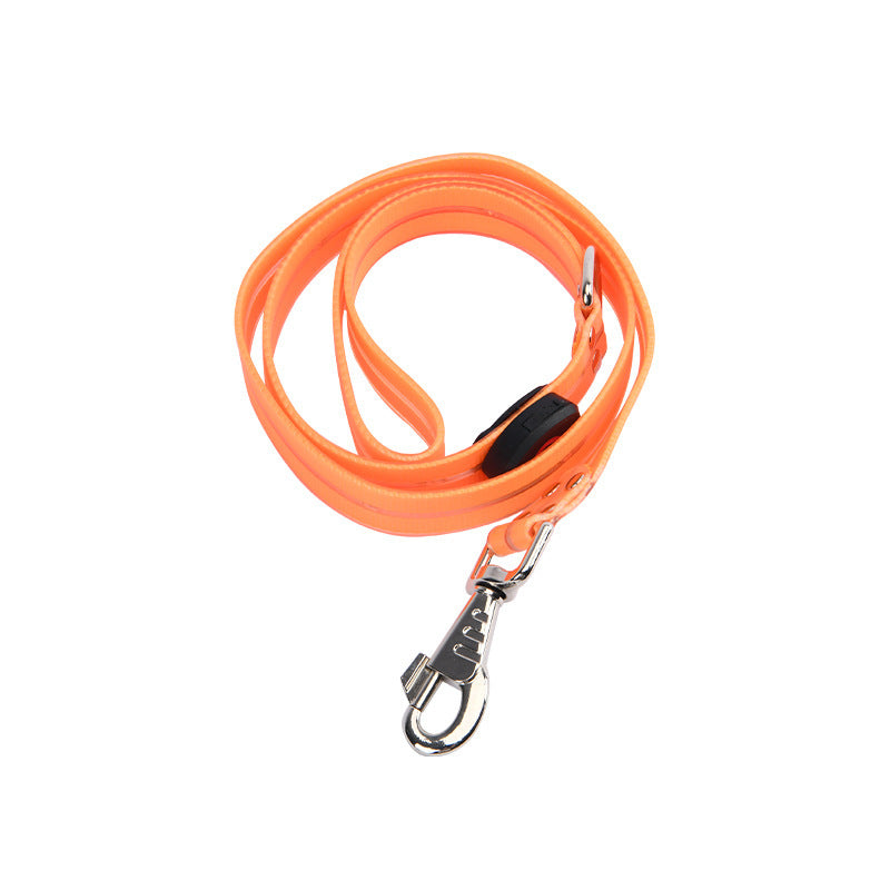 Glow-Up LED Pet Leash – Safe Night Walks!