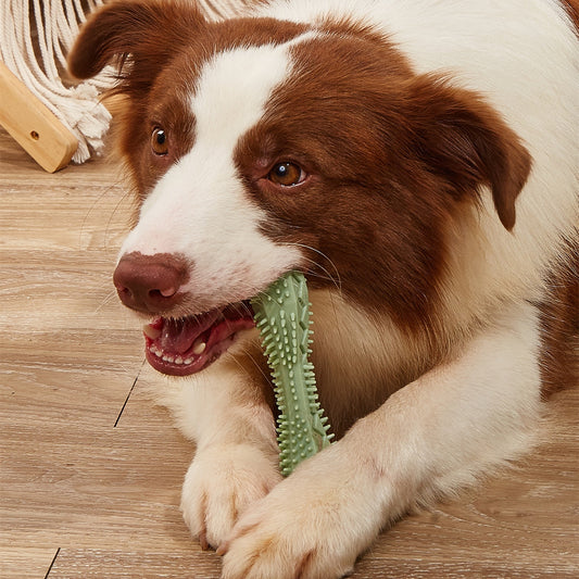 Fun Dental Chew Toys – Healthy Teeth for Dogs