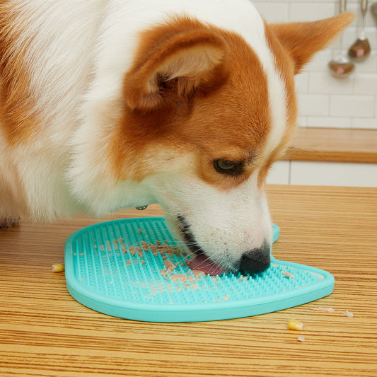 Pet Lick Mat – Double-Sided Treat Time Delight!