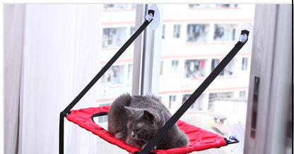 Relaxing Cat Window Seat – Perfect Indoor Chill Zone