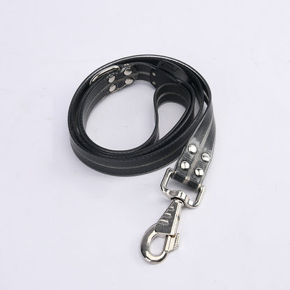 Glow-Up LED Pet Leash – Safe Night Walks!