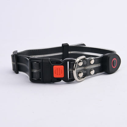 Glow-Up LED Pet Leash – Safe Night Walks!