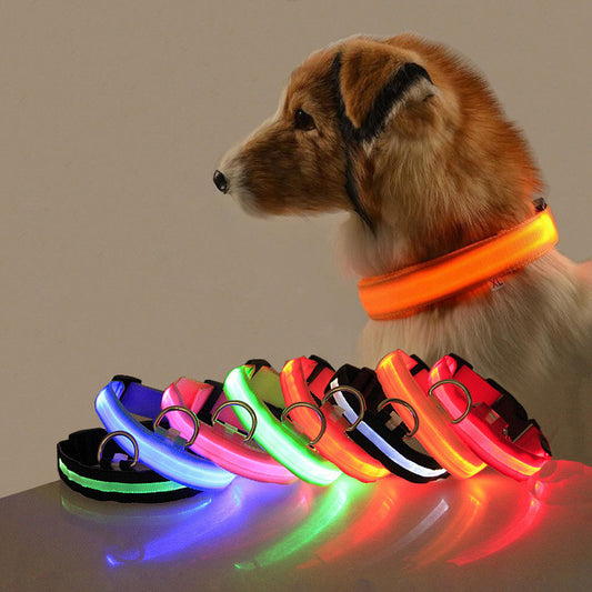 Rechargeable LED Dog Collar for Pet Night Safety