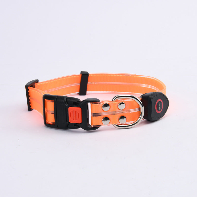 Glow-Up LED Pet Leash – Safe Night Walks!