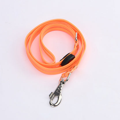 Glow-Up LED Pet Leash – Safe Night Walks!
