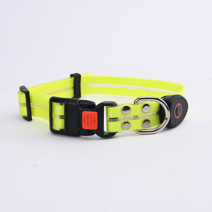 Glow-Up LED Pet Leash – Safe Night Walks!