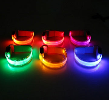 Rechargeable LED Dog Collar for Pet Night Safety