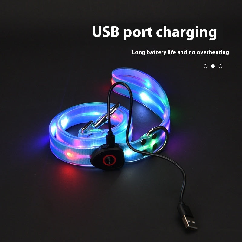 Glow-Up LED Pet Leash – Safe Night Walks!