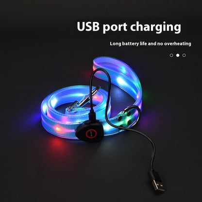 Glow-Up LED Pet Leash – Safe Night Walks!