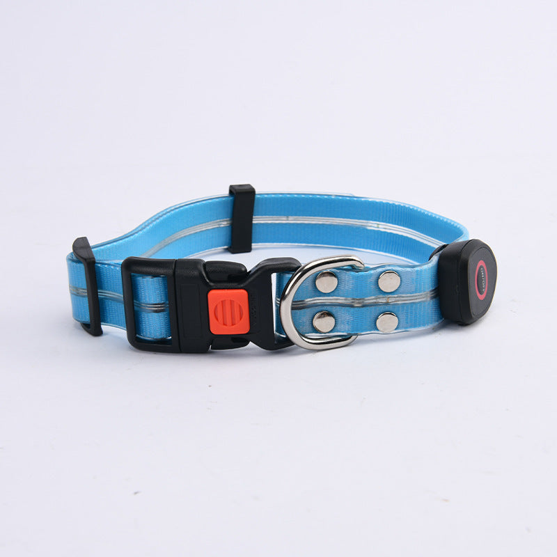 Glow-Up LED Pet Leash – Safe Night Walks!