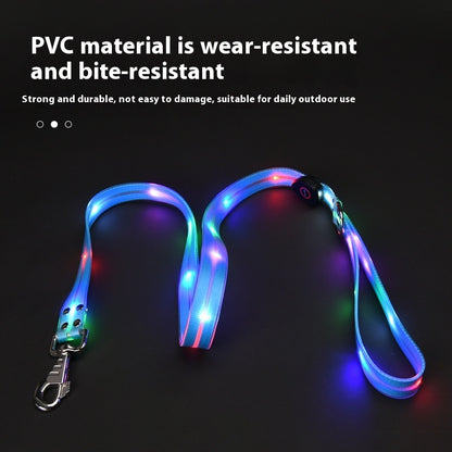 Glow-Up LED Pet Leash – Safe Night Walks!