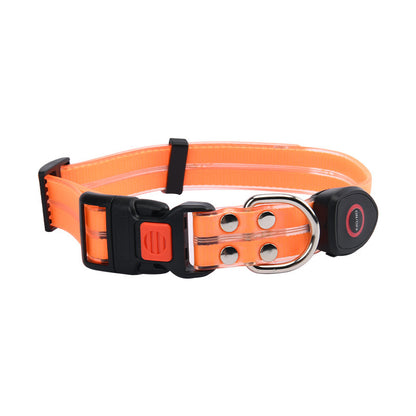Glow-Up LED Pet Leash – Safe Night Walks!