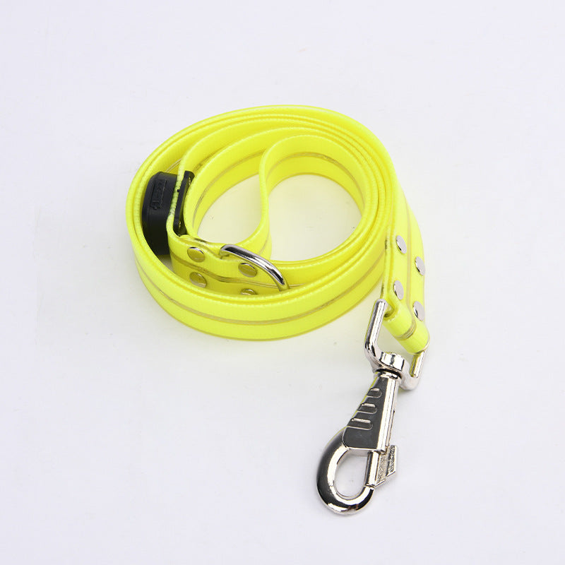 Glow-Up LED Pet Leash – Safe Night Walks!