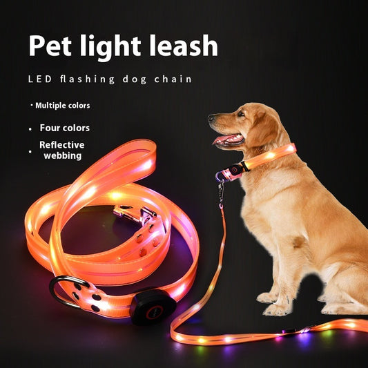 Glow-Up LED Pet Leash – Safe Night Walks!
